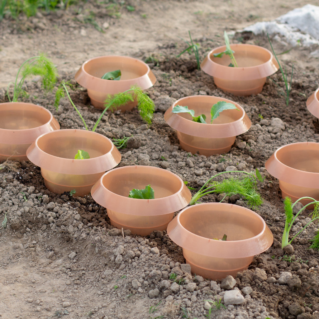 SchneckenStopp Recycling-PP