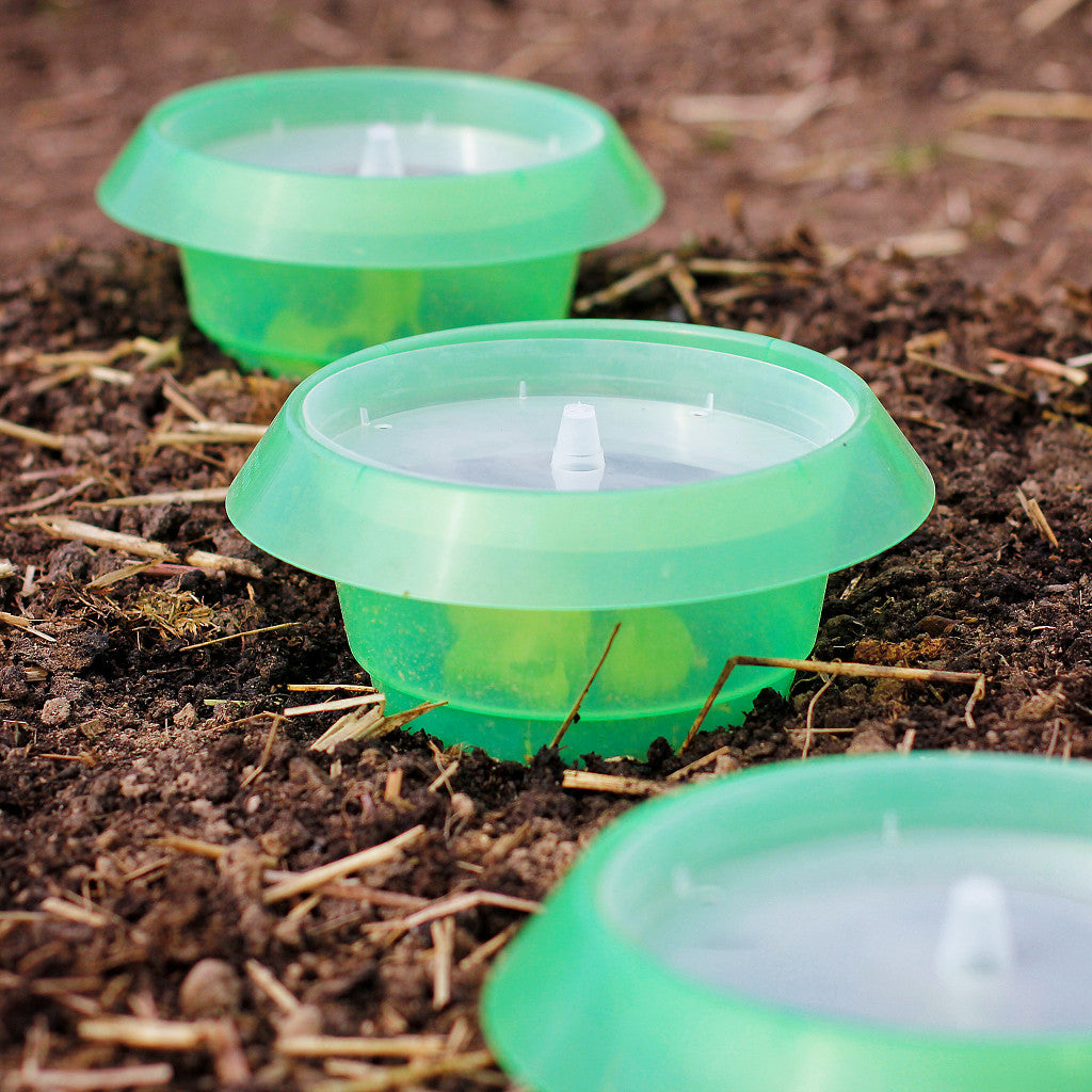 Anwendung, Treibhausdeckel zusammen mit SchneckenStopp PP (13 cm)