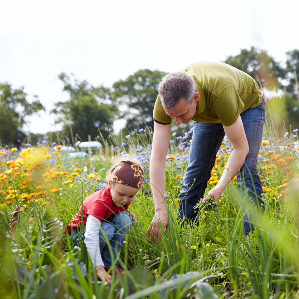 Ackerhelden Bio-Gemüsegarten Bremen zum Mieten auf Bioland-Betrieb, Beispielbild