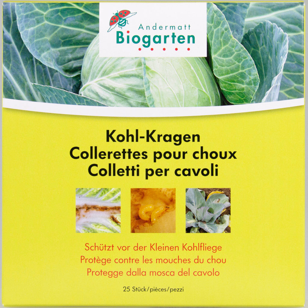 Verkaufsverpackung, "Kohl-Kragen", 12 cm Durchmesser, 25 Stück je Packung