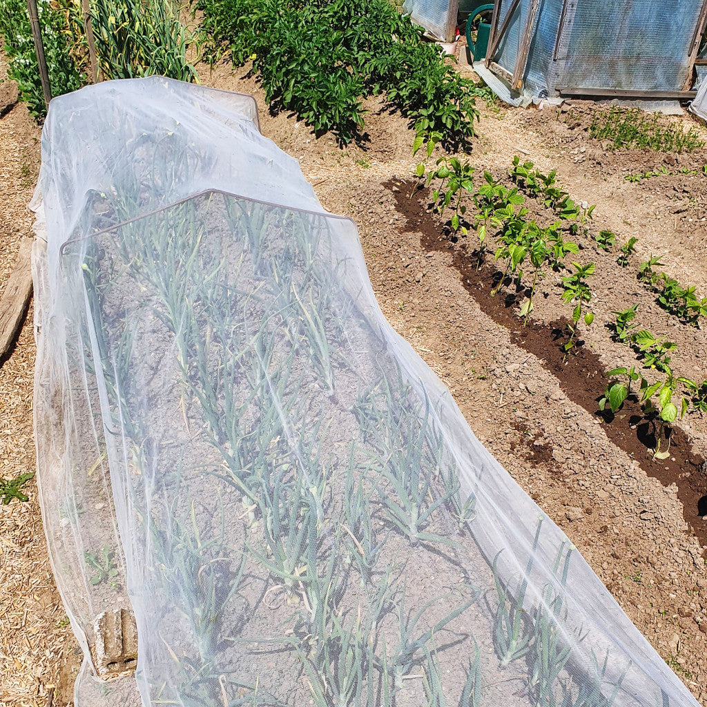 Feinmaschiges Insektenschutznetz schützt Gemüse vor zufliegenden schädlichen Insekten