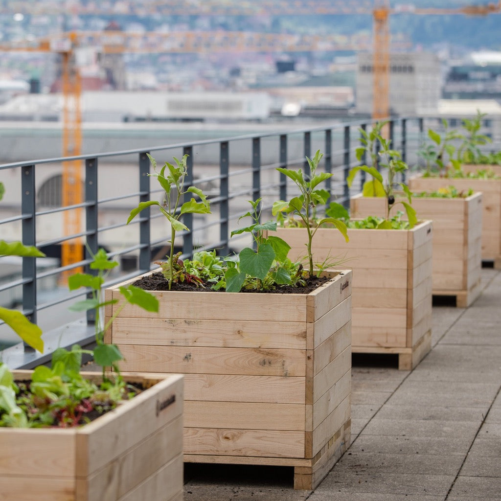 Bio-Hochbeet bereit für die erste Saison