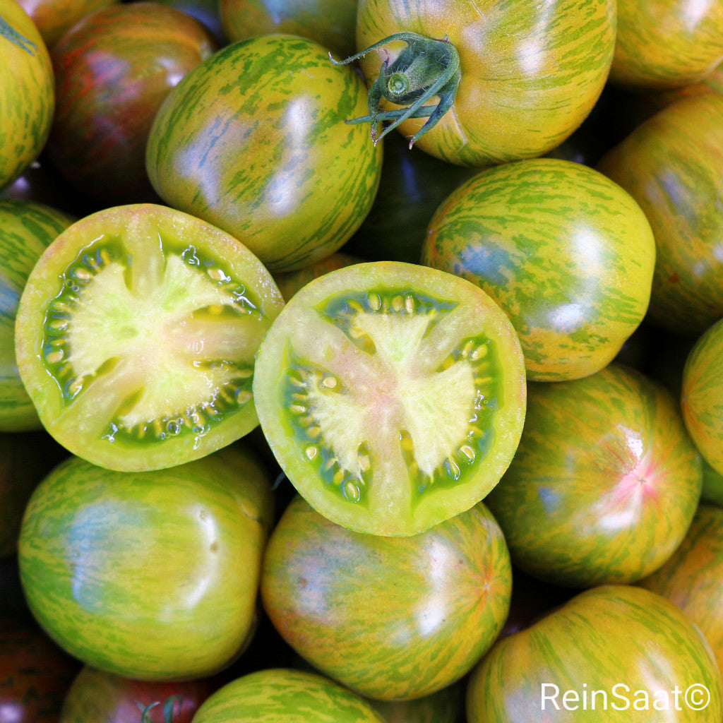 Produktbild, Freilandtomate 'Kalypso' mit rötlich-geflammten Früchten