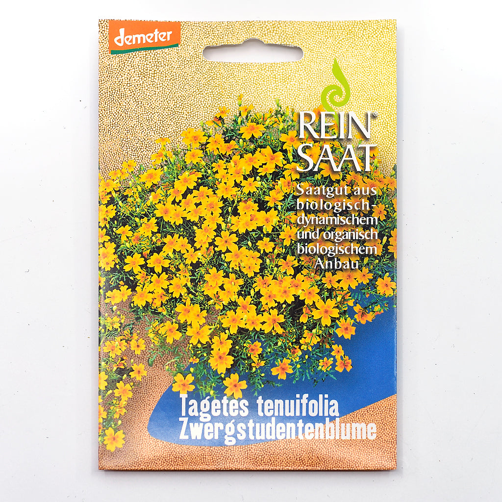 Portionstüte, samenfestes Bio-Saatgut von Zwergstudentenblume, orangefarbene Blüten