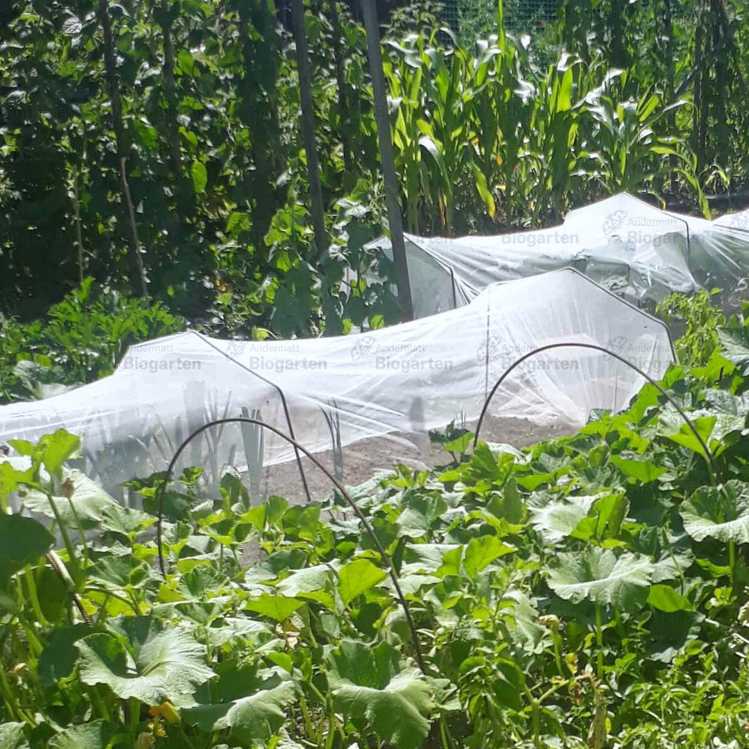 Anwendungsbeispiel: Filbio-Kulturschutznetz (klein) mit Bügeln als Tunnel aufgebaut