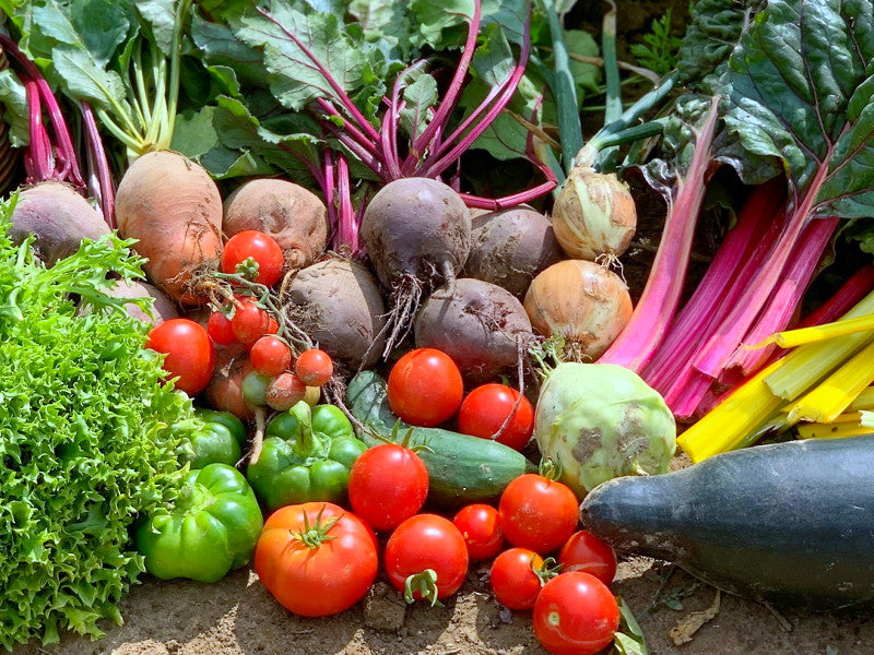 Ernte auf dem Acker im Sommer