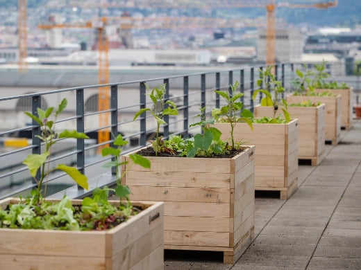 Hochbeet Urban Gardening