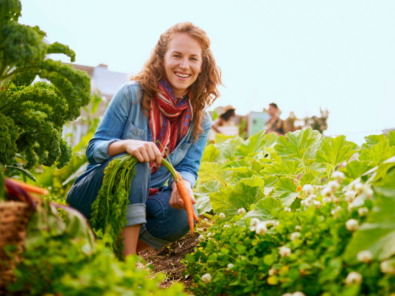 Gesundheit und Bewegung im Garten