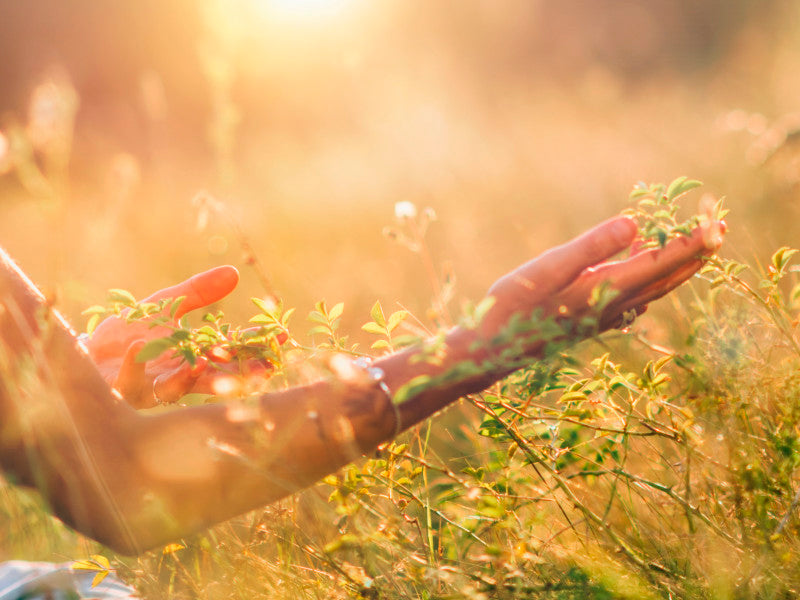 Entspannung und Achtsamkeit im Garten erleben