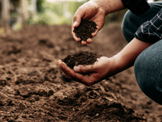 Bodenhilfsstoffe im Gemüseanbau