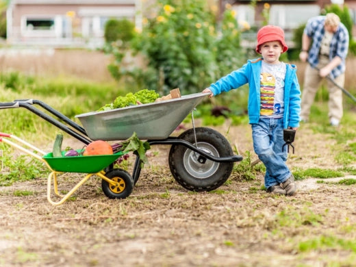 Was Kinder im Gemüsegarten lernen können