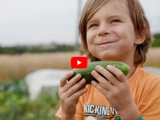 Video - Ein Besuch auf dem Acker