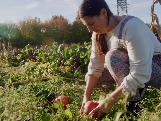 Die Vorteile des eigenen Gemüseanbaus