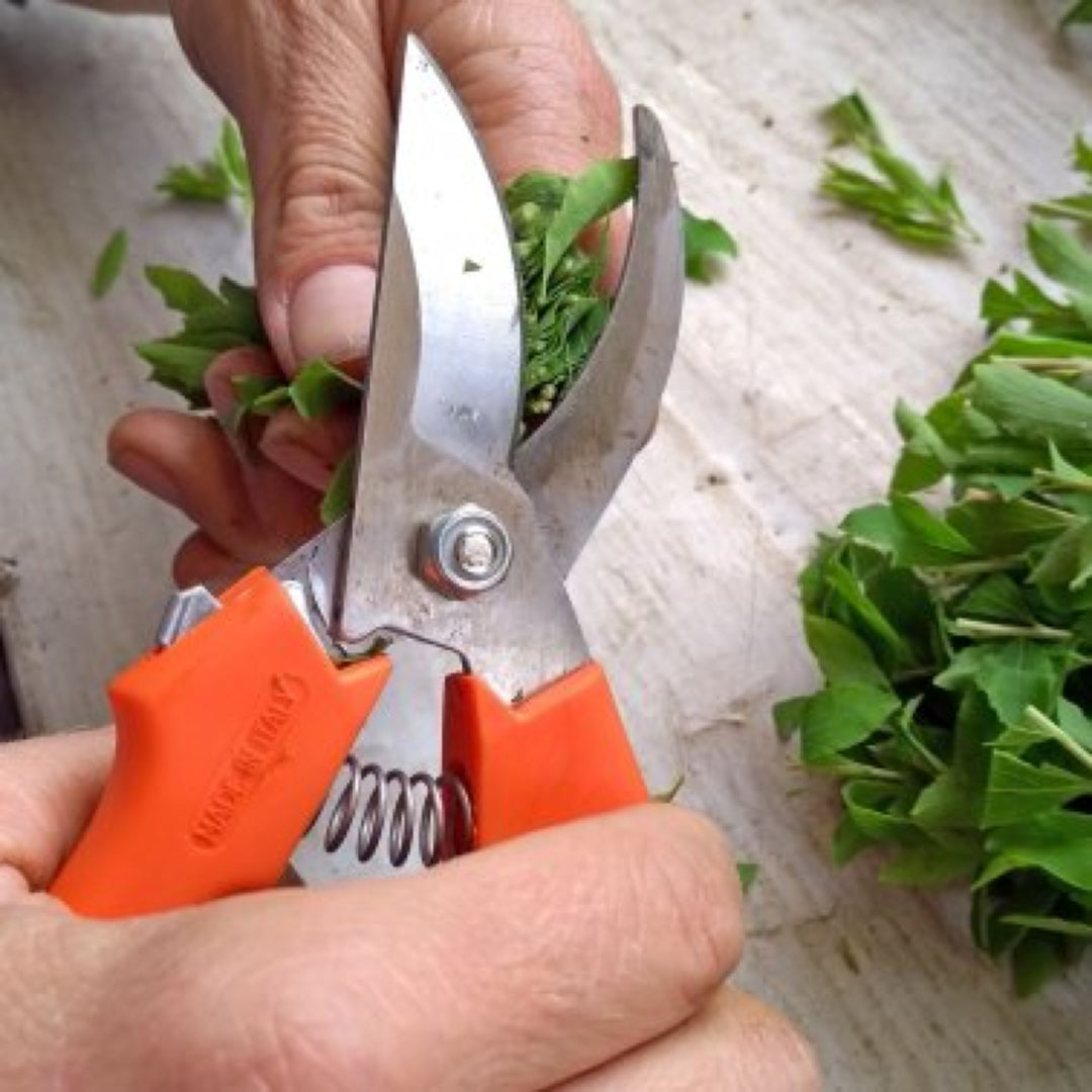 Preiswerte, leichte Gartenschere MEYbest M19