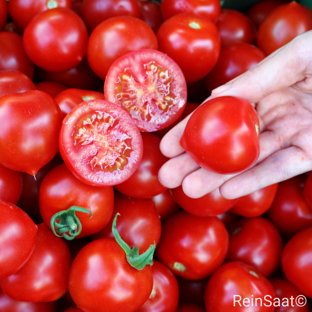 Produktbild,  Cocktail-Tomate &#39;Ruthje&#39;, leuchtend rote, leicht herzförmige Früchte