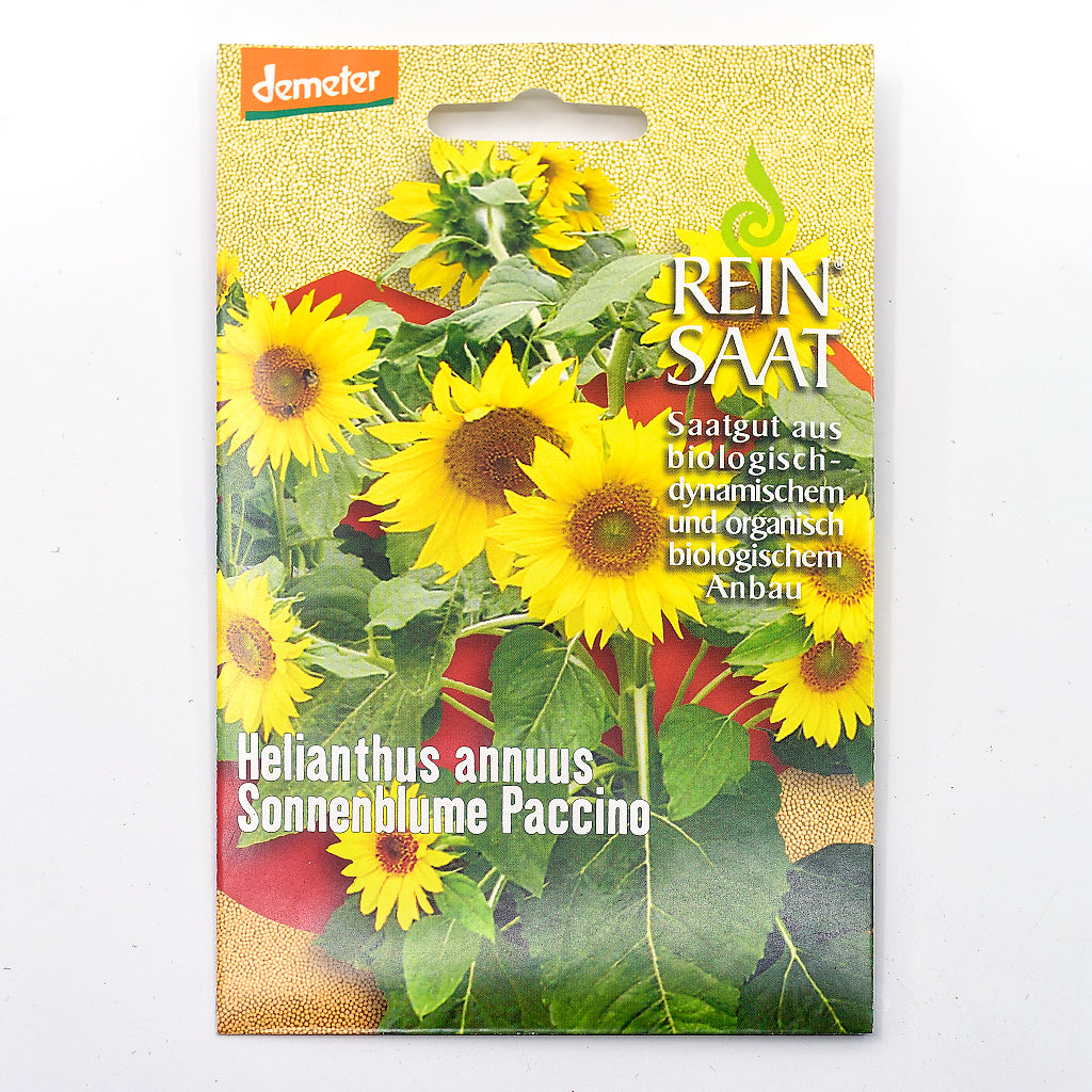 Portionstüte, Sonnenblume &#39;Paccino&#39;, kompakte gelbe Sonnenblume